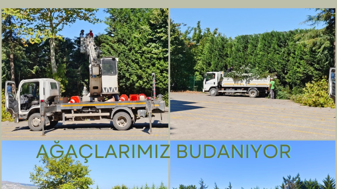 AĞAÇLARIMIZ BUDANIYOR 